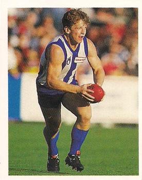 1993 Select AFL Stickers #176 Matthew Larkin Front